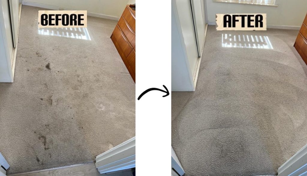 Delight Carpet Care