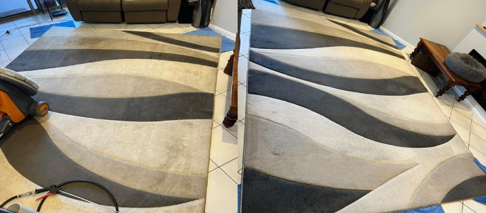 Remove dirt, stains, malodor, and harmful microbes with Professional Rug Cleaning Adelaide