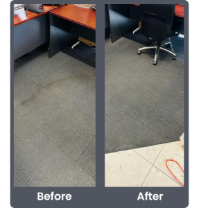 carpet cleaning photo in Adelaide suburbs by Delight carpet care