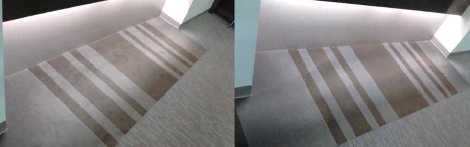 Remove grime, bacteria, stench, and more with professional carpet cleanup solutions