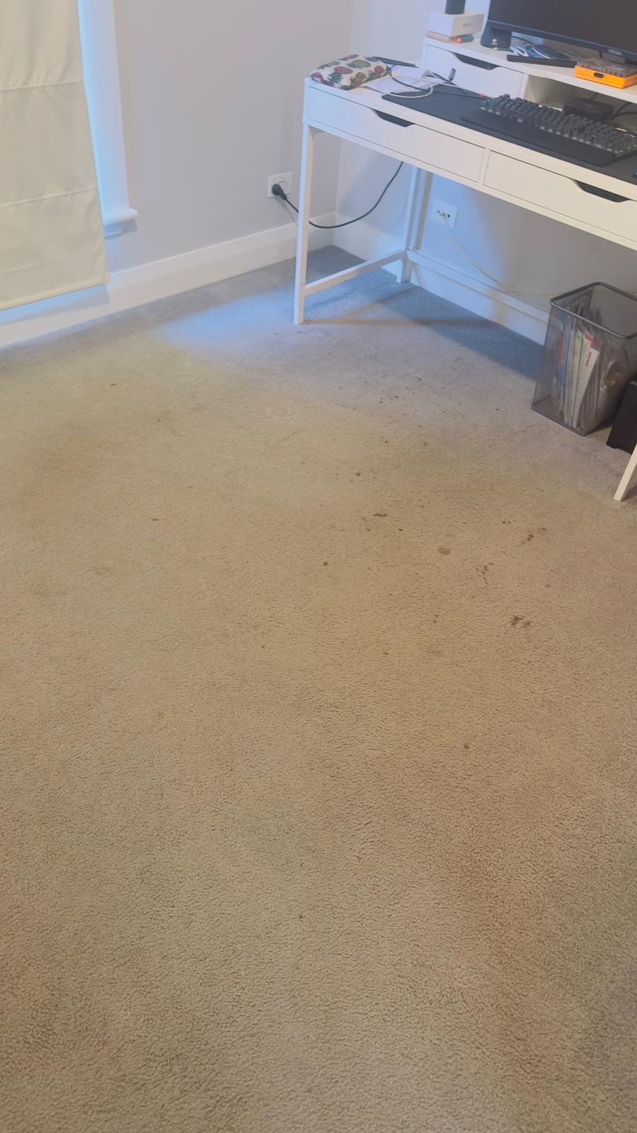 Delight Carpet Care