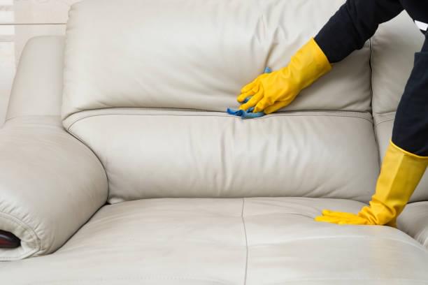 Delight Carpet Care
