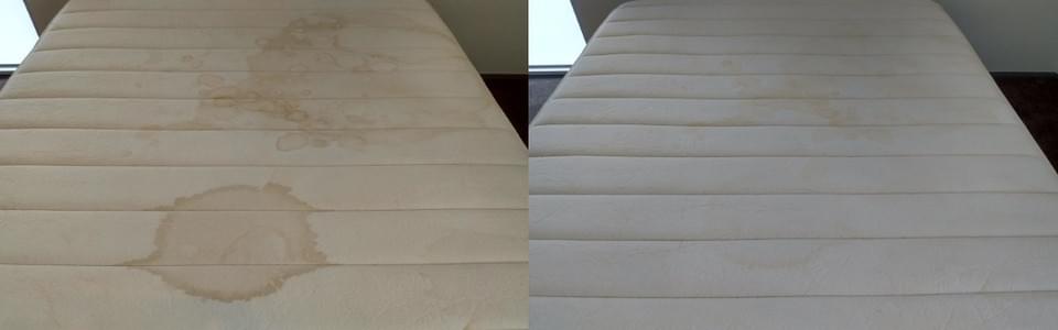 Delight Carpet Care