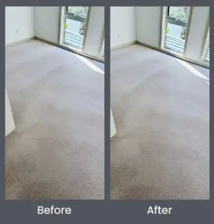 Delight Carpet Care