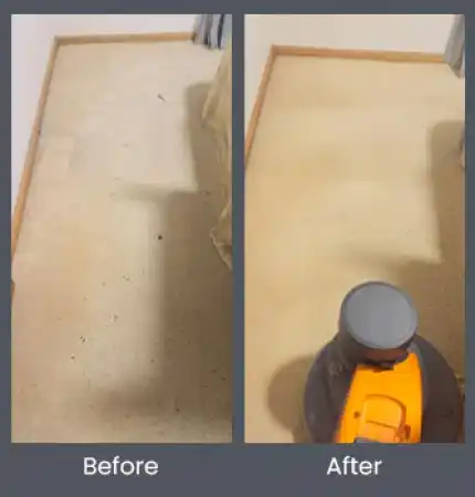Delight Carpet Care