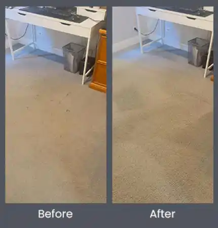 Delight Carpet Care