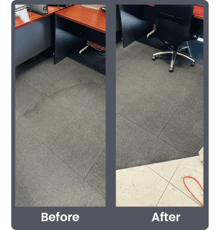 carpet cleaning photo in Adelaide suburbs by Delight carpet care