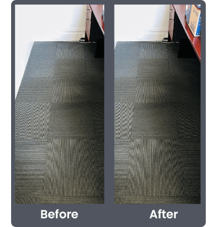 Delight Carpet Care
