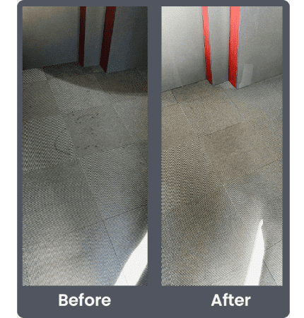 Delight Carpet Care